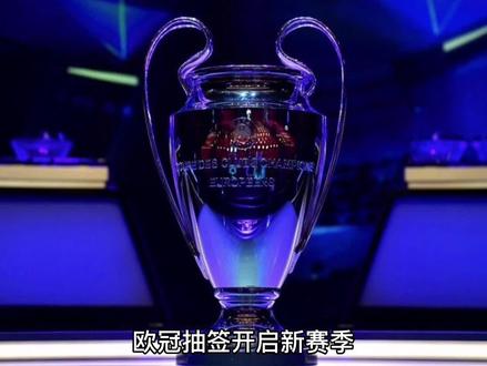 中的表现不