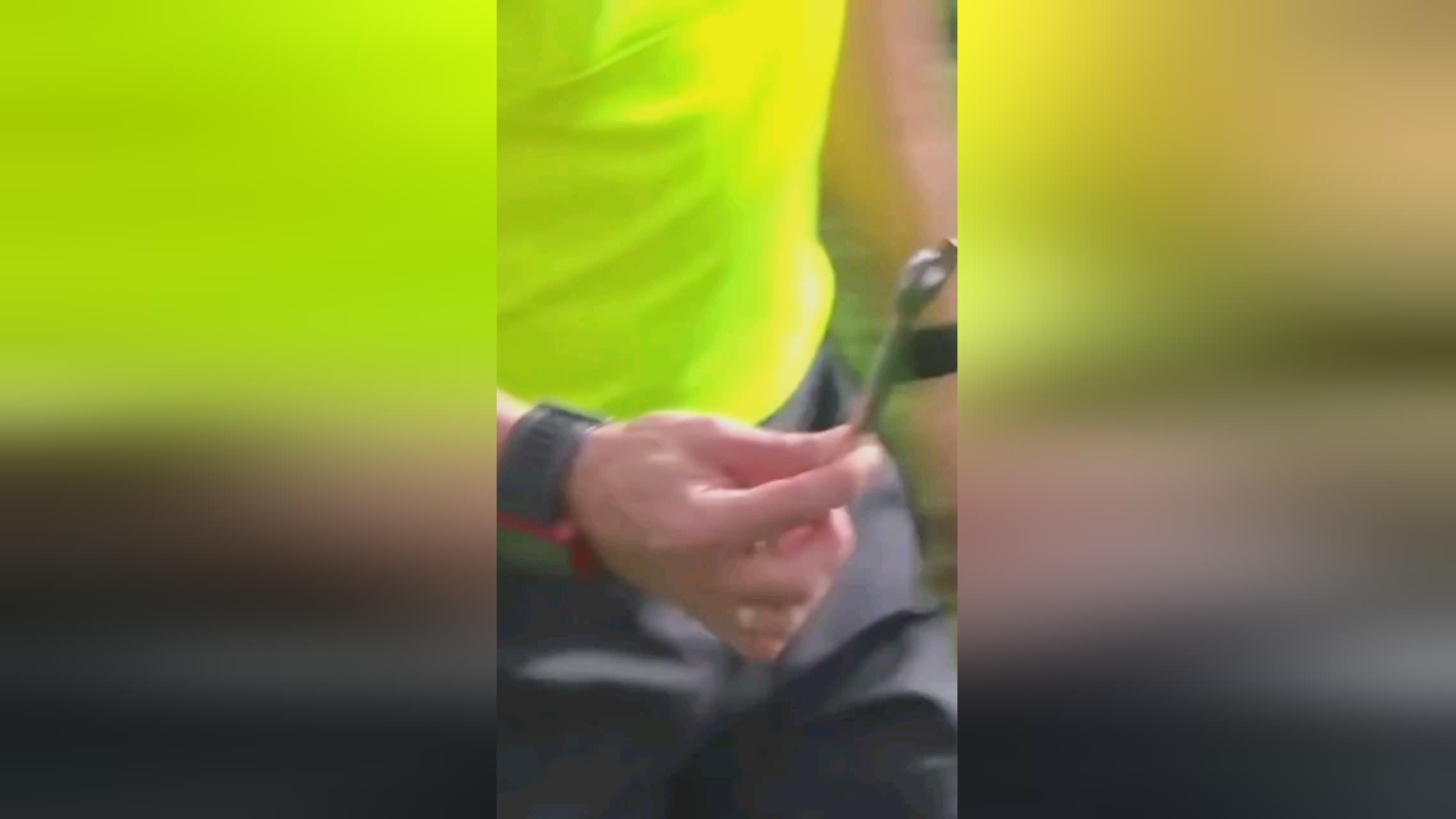 职业化越