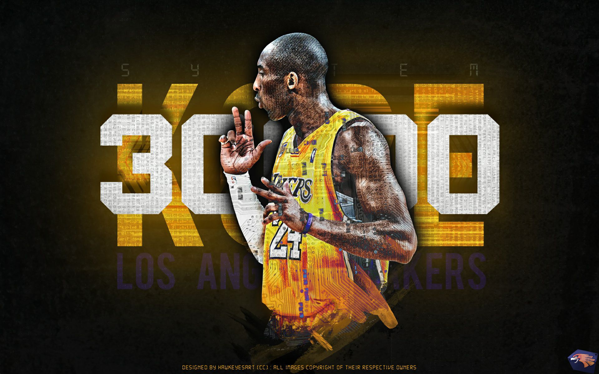 这位教练的 这位教练的