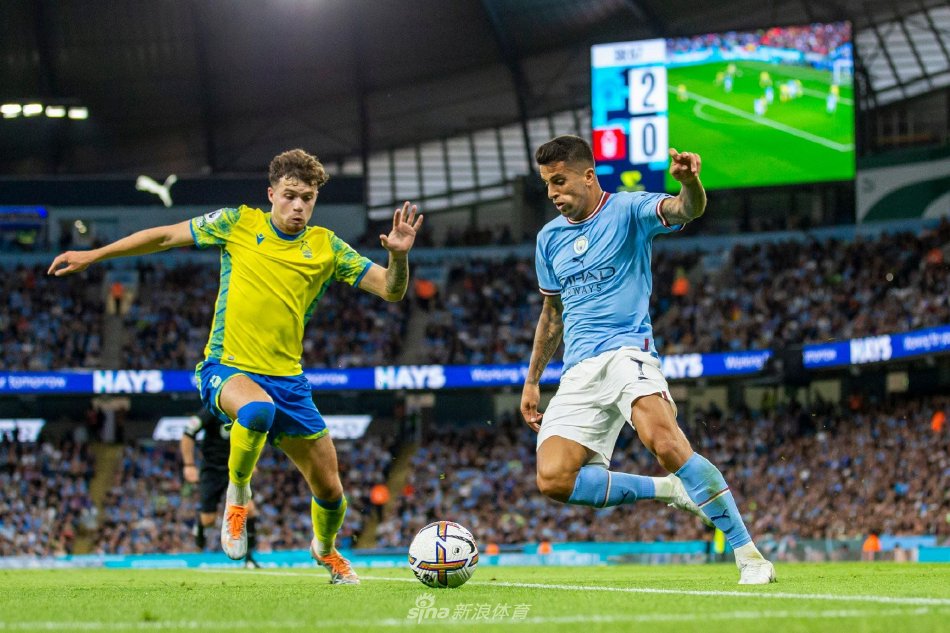 替补球员的 替补球员的